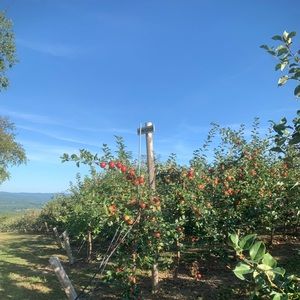 Meet your Posher, Sierra